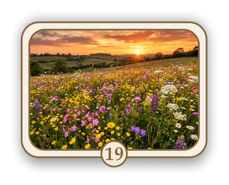 Floral 19 memorial card design — wildflower meadow at sunset