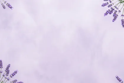 Soft Lavender Border memorial template