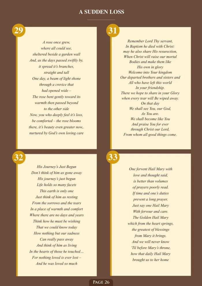 Page 28 of the Irish Memorial Catalogue — A sudden loss, continued