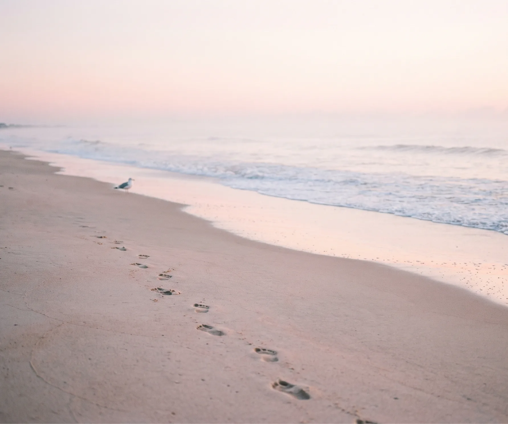 Footprints in the Sand 4 template back
