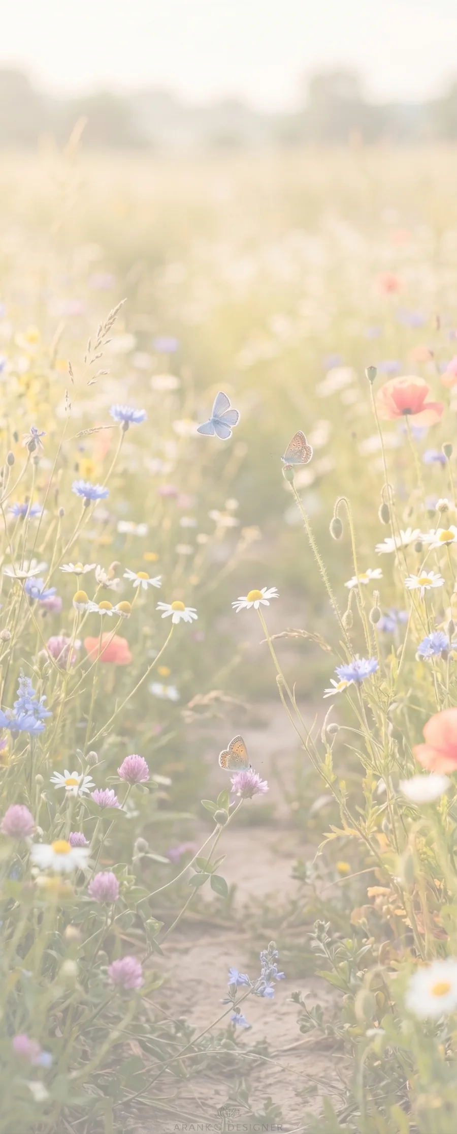 Daisy Meadow Path memorial template