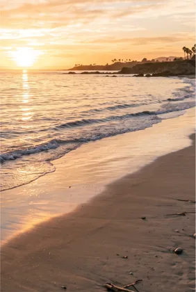 Golden Shore at Sunset memorial template