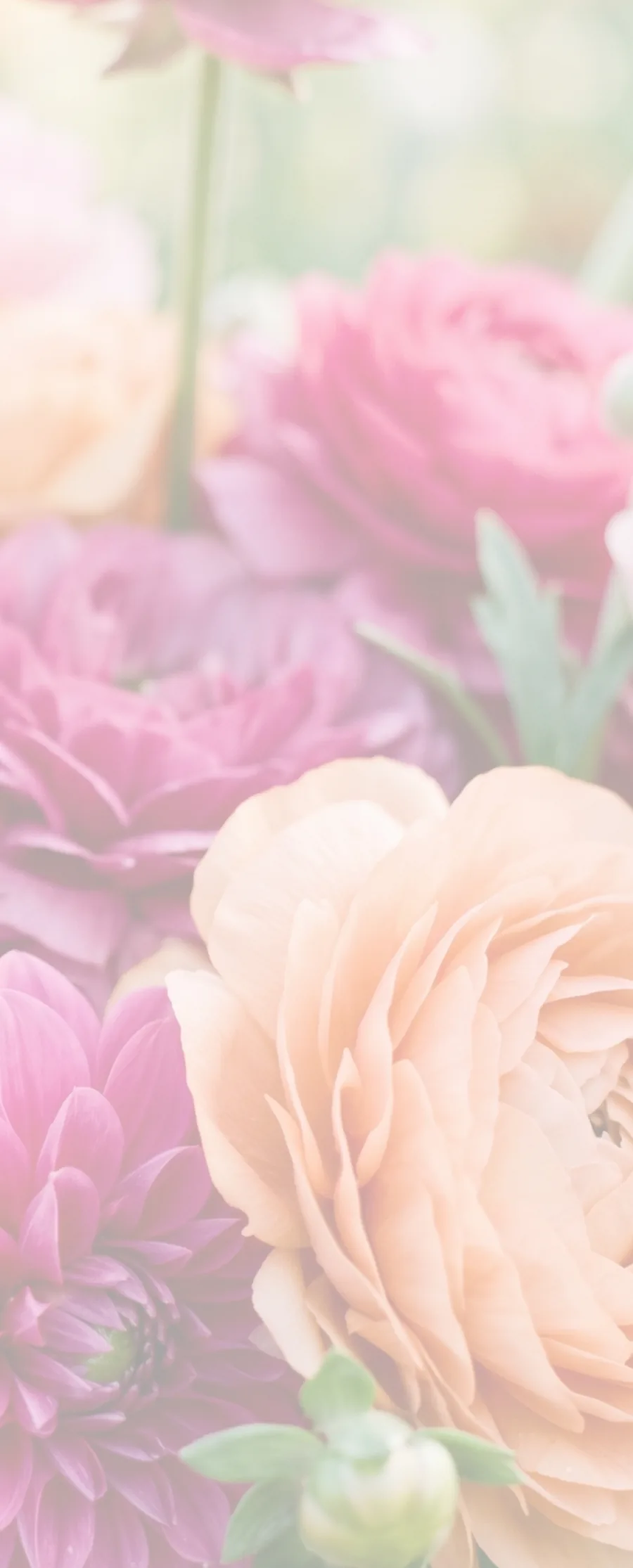 Rose & Dahlia Garden memorial template