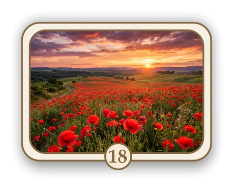 Floral 18 memorial card design — poppy field at sunset