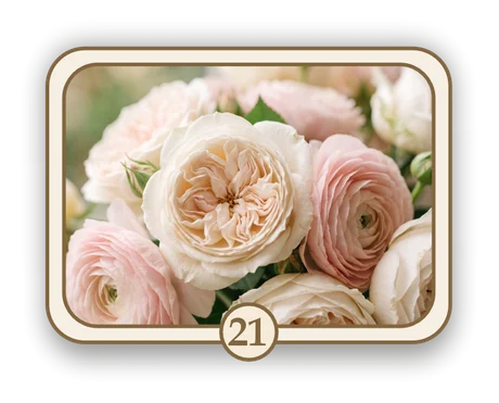 Floral 21 memorial card design — cream and blush roses