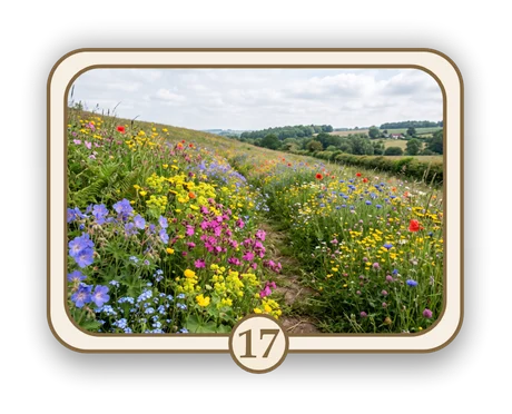 Floral 17 memorial card design — wildflower path in summer