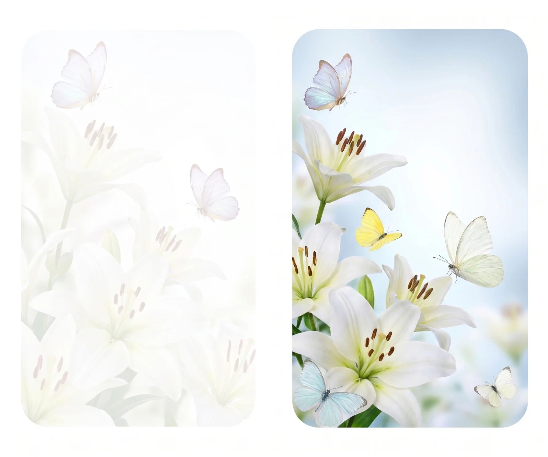 White Lilies & Butterflies memorial template