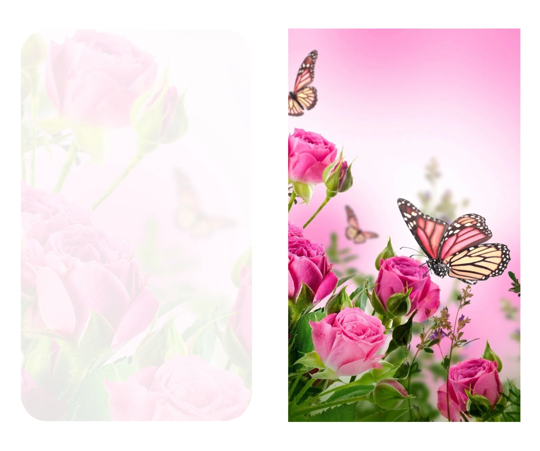 Pink Roses & Butterfly memorial template