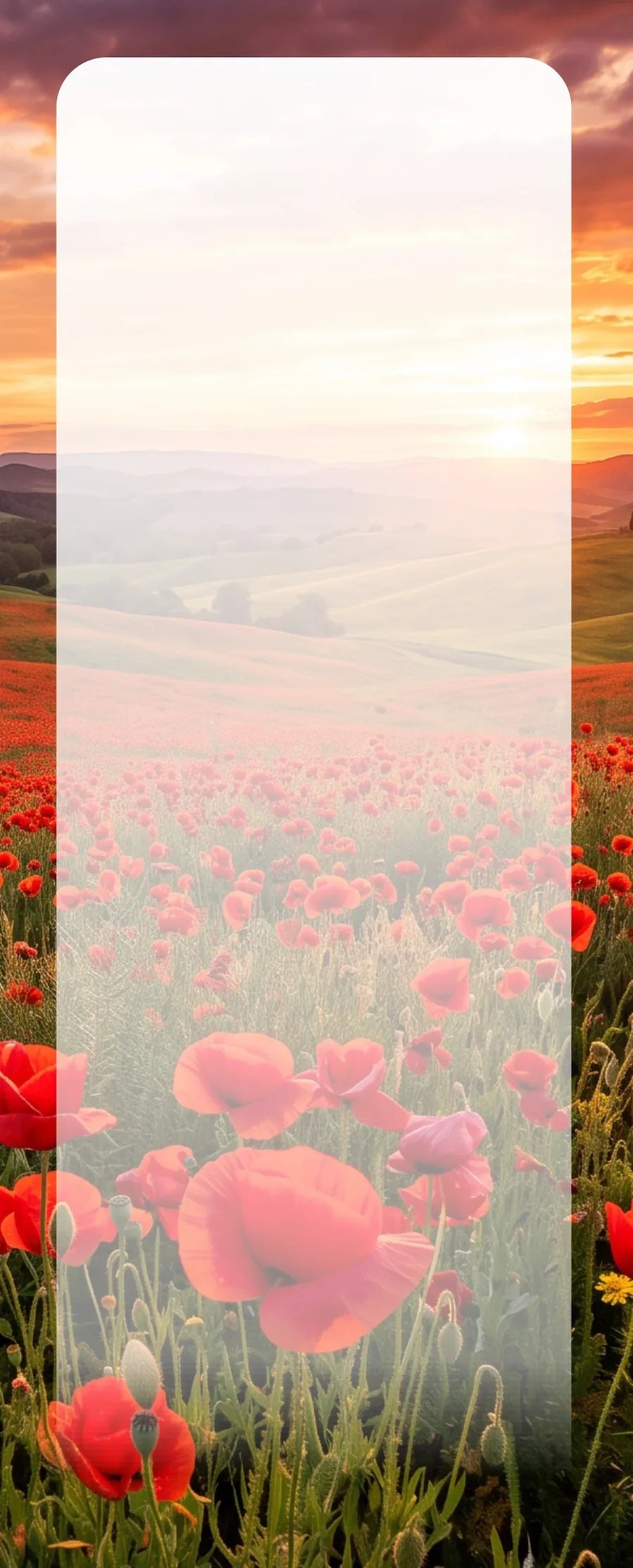 Poppy Field Sunset memorial template